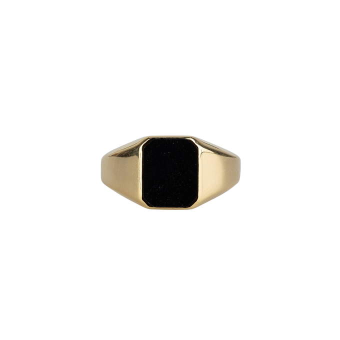 The Power of Onyx | Ring | Goud from AdornPay