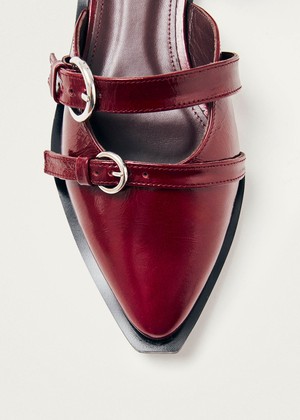 Thalara Onix Burgundy Leather Ballet Flats from Alohas