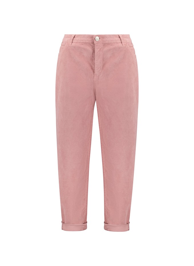 Jura Organic Cotton Trousers from Baukjen