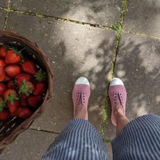 Lola Dusty Pink Cotton Plimsolls via BIBICO