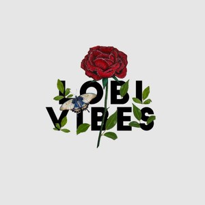 T-shirt Lobi Vibes Aruba Wit from BLL THE LABEL