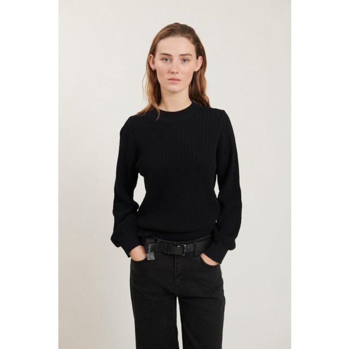 Joda sweater- Black from Brand Mission