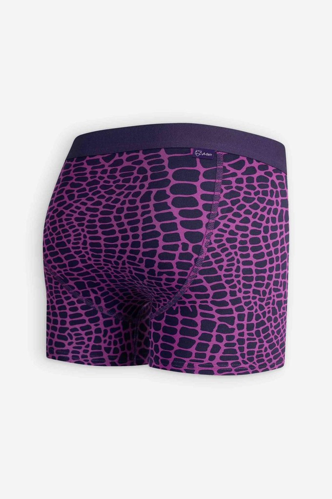 Purple croc boxer from Brand Mission