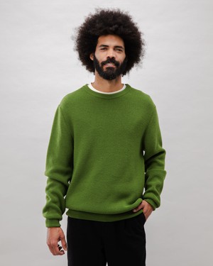 Waterfront Wool Sweater Green from Brava Fabrics