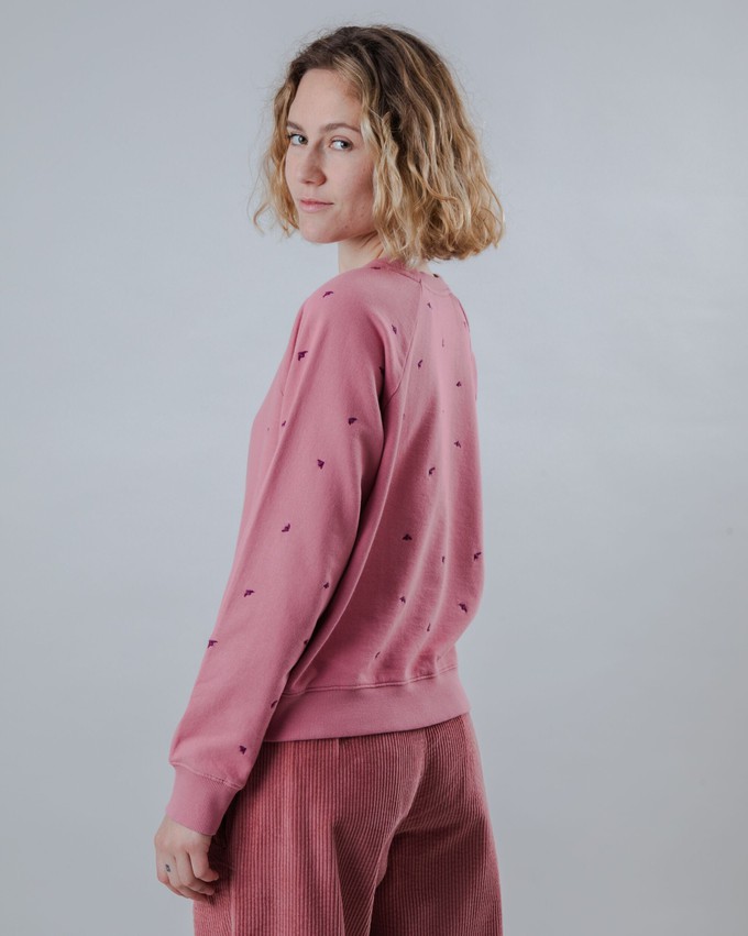 Dusk Raglan Cotton Sweatshirt Rose from Brava Fabrics