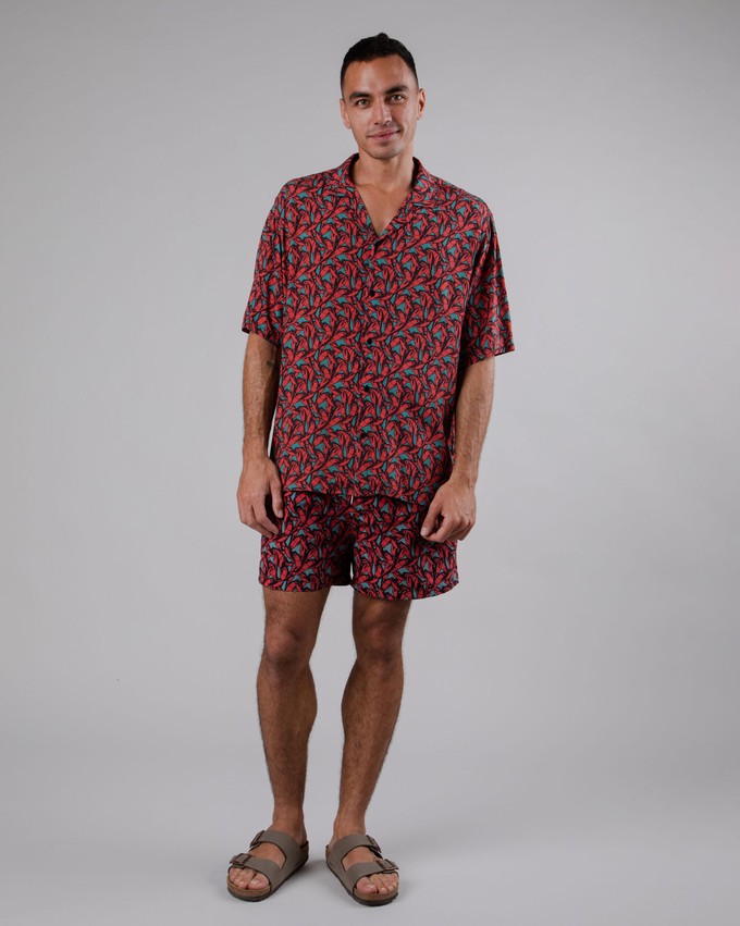 Lobster Swimwear Red from Brava Fabrics