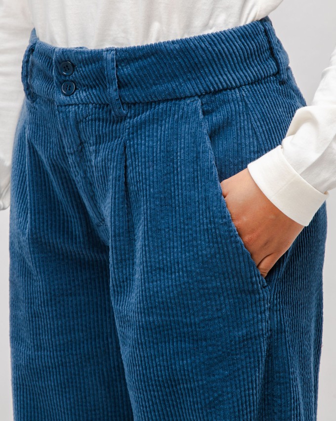 Corduroy Pleated Pants Indigo from Brava Fabrics