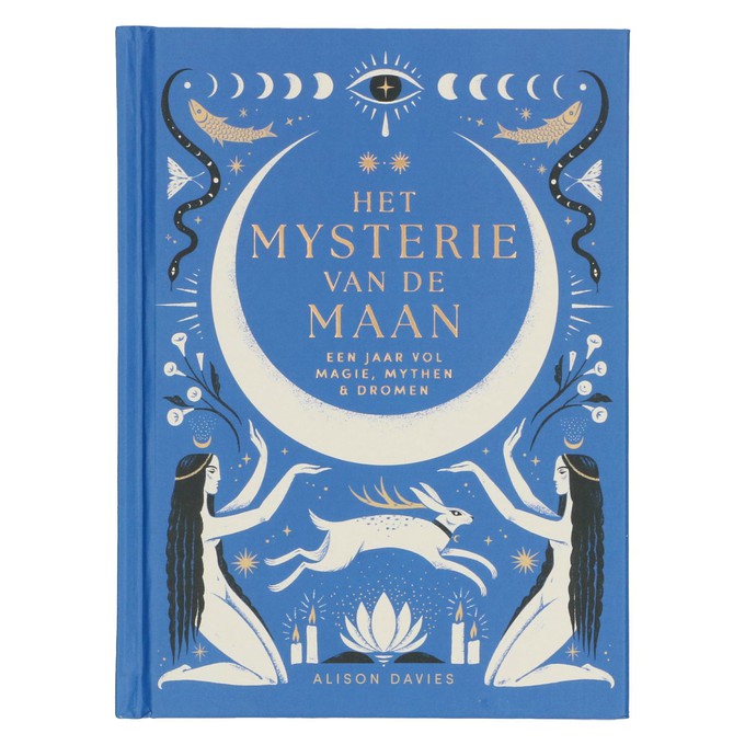 Het mysterie van de maan, Alison Davies from Dille & Kamille