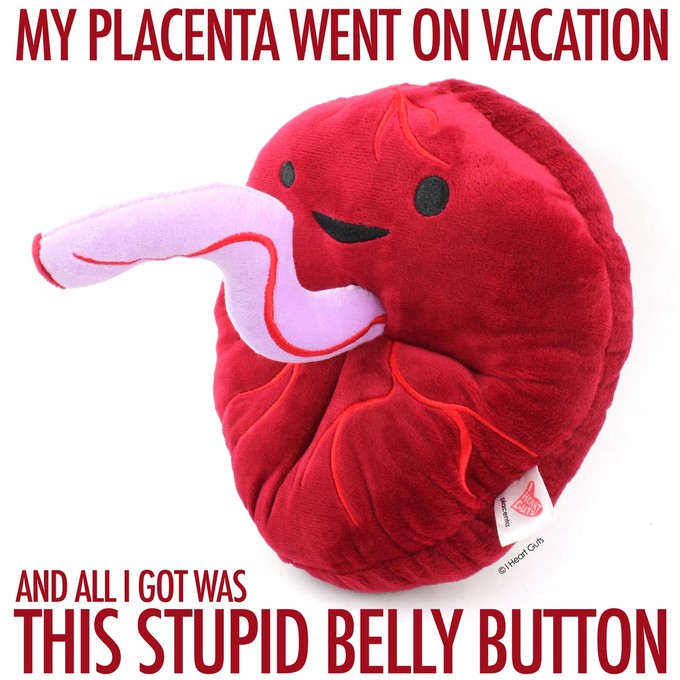 Knuffel placenta - Baby’s First Roommate from Fairy Positron