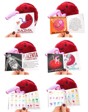 Knuffel placenta - Baby’s First Roommate from Fairy Positron