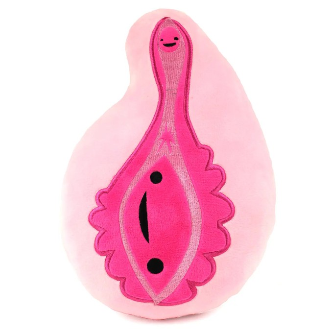 Etui vulva “yay for the va-jay-jay” from Fairy Positron