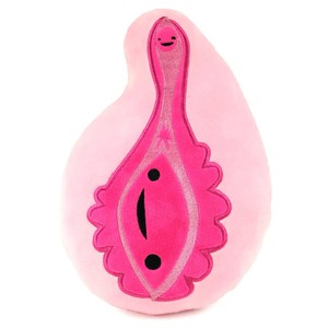 Etui vulva “yay for the va-jay-jay” from Fairy Positron