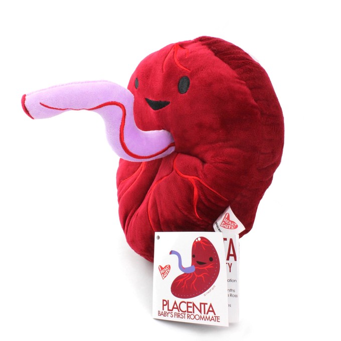 Knuffel placenta - Baby’s First Roommate from Fairy Positron