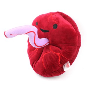 Knuffel placenta - Baby’s First Roommate from Fairy Positron