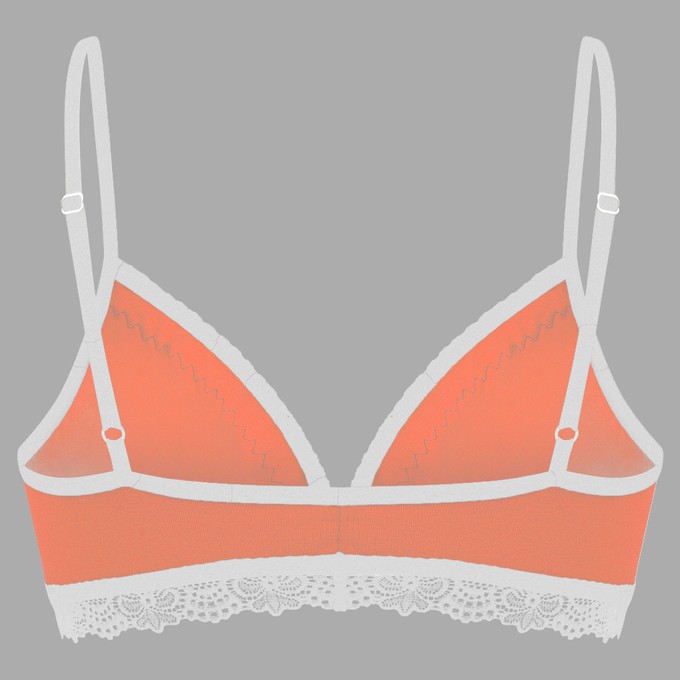 Set: Bio bra + hipster panties Spitze, sorbet from Frija Omina