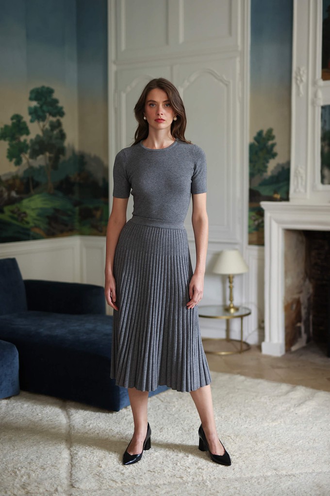 Hazel Pleated Skirt from GAÂLA