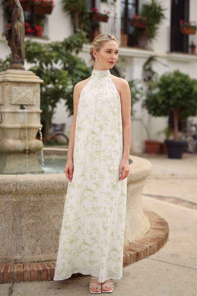 Rosemary Maxi Dress from GAÂLA