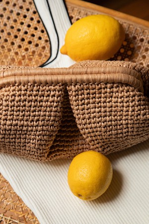 Jia Raffia Clutch Bag from GAÂLA