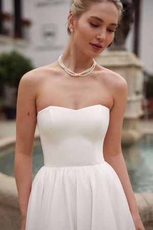 Annabeth Strapless Dress from GAÂLA