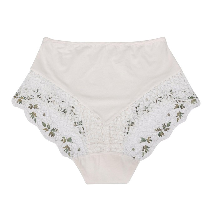 Nova - High Waisted Silk & Organic Cotton Full Brief from JulieMay Lingerie