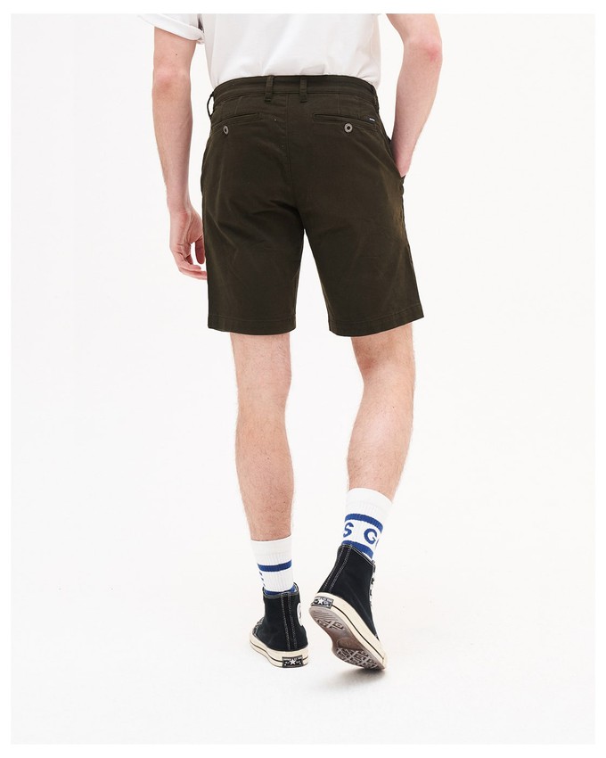 Toby Chino Shorts Green from Kuyichi