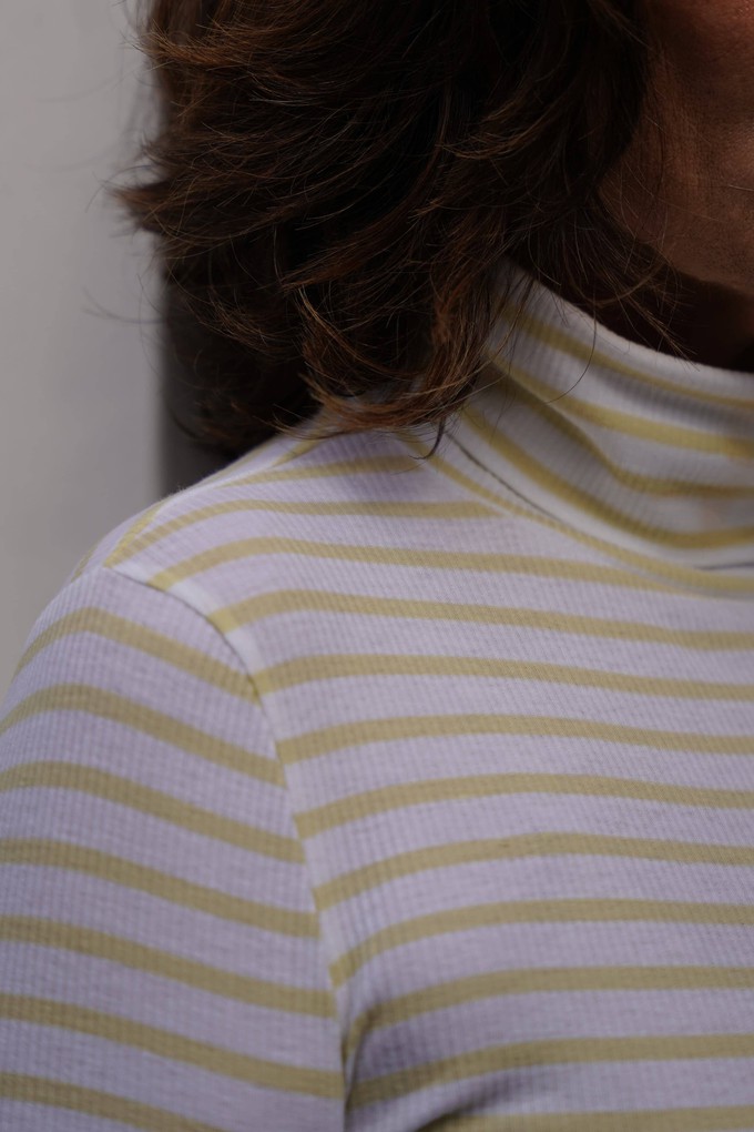 Striped Roll Neck from Lavender Hill Clothing