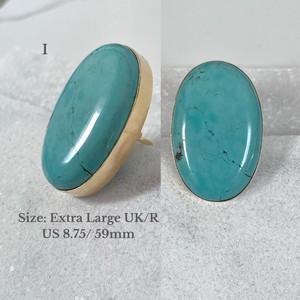 Anokhi Turquoise Rings from Loft & Daughter