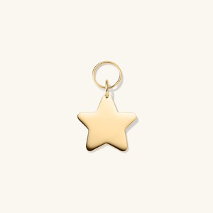 Star Pet Tag from Mejuri