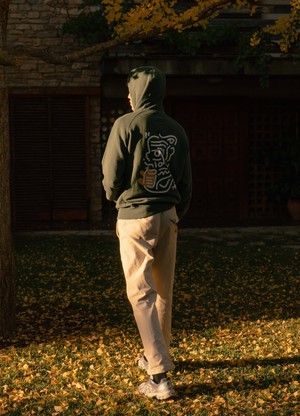 Hoodie melancholic man from NWHR