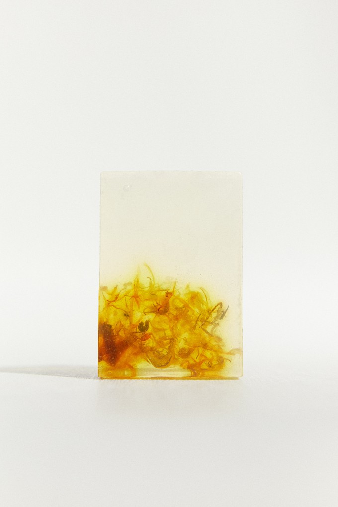 Translucent Soap from NWHR