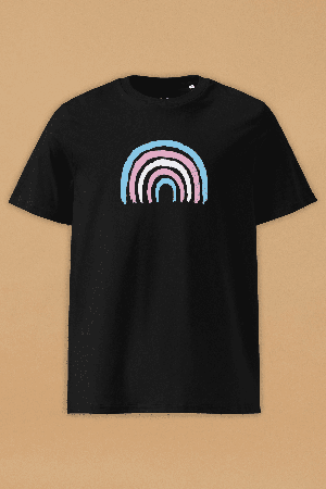 Transgender Rainbow T-Shirt from Pitod