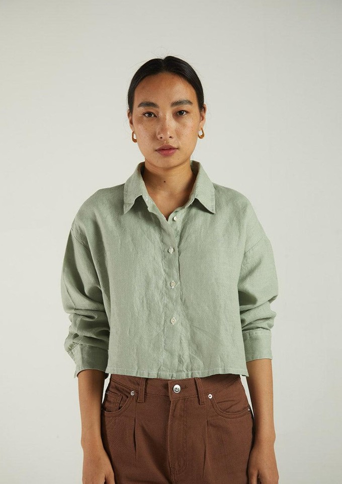 Crop it Like its Hot Shirt in Light Olive from Reistor