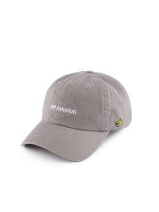 Moon Grey Dad Hat via Rip Bananas