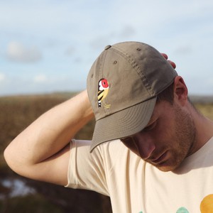 matt sewell goldfinch cap from Silverstick