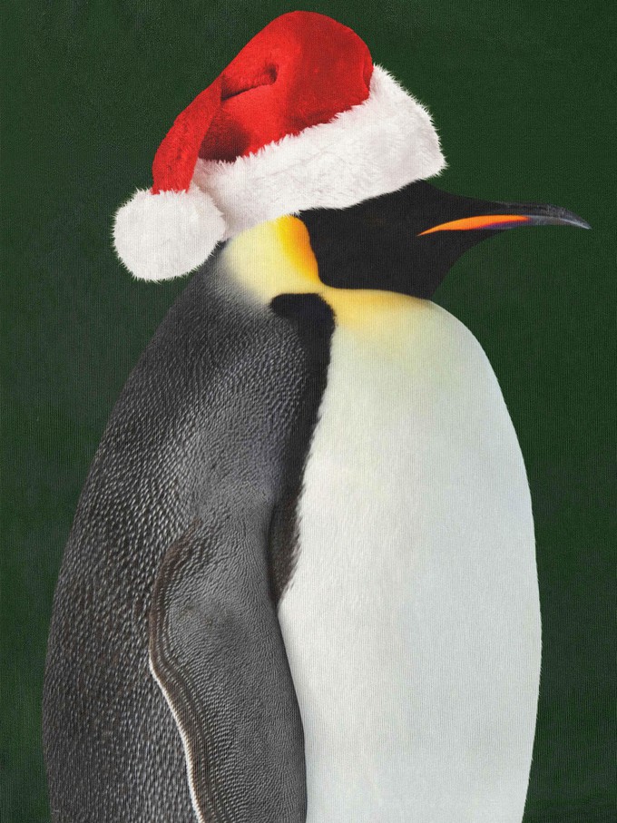 Penguin Xmas Sweater Kinderen from SNURK