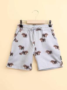 Hippos Shorts Kinderen via SNURK