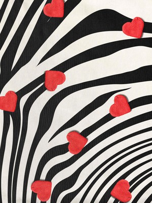 Zebra Love Jurkje Kinderen from SNURK