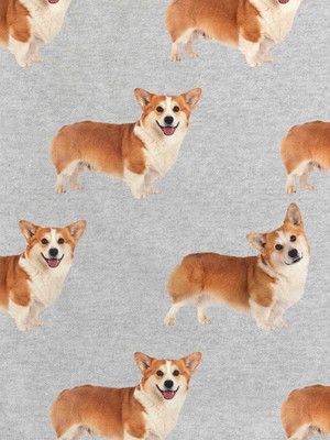 Corgi Time Sweater Heren from SNURK