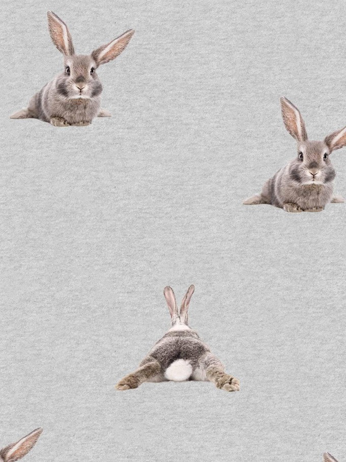 Bunny Bums T-shirt lange mouwen Dames from SNURK