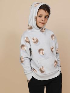 Hedgy Grey Oversized capuchon trui Kinderen via SNURK