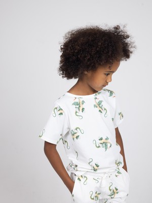 Dragon T-shirt Kids from SNURK