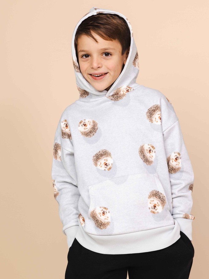 Hedgy Grey Oversized Hoodie Kinderen from SNURK