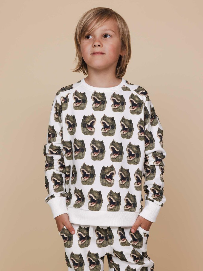 Dino Sweater en Broek set Kinderen from SNURK