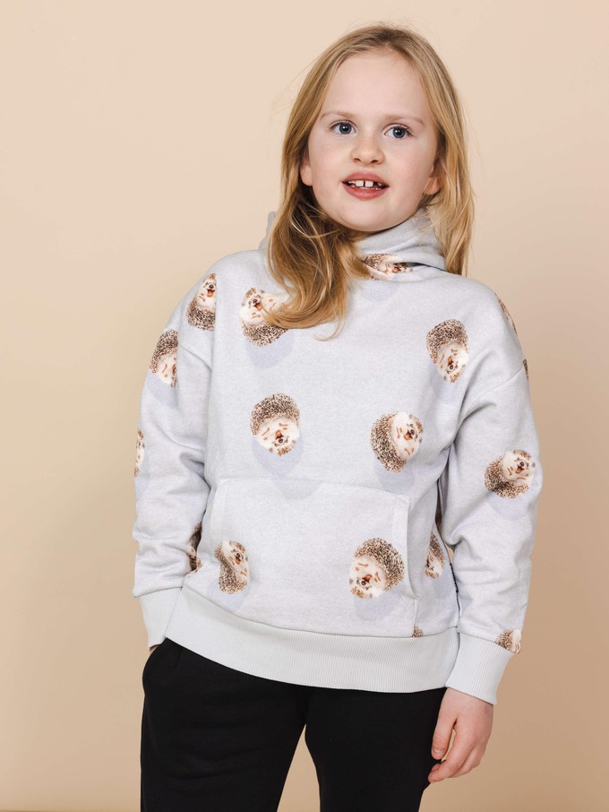 Hedgy Grey Oversized Hoodie Kinderen from SNURK