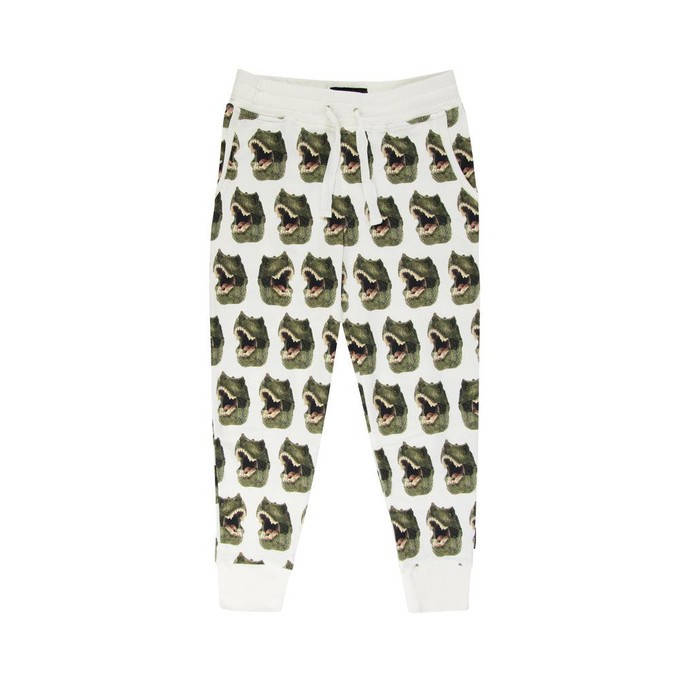 Dino Broek Kinderen from SNURK