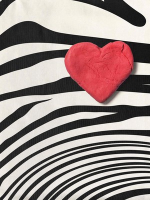 Zebra Love Topje Dames from SNURK