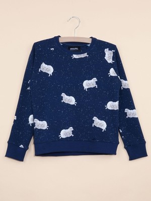 Counting Sheep Sweater Kinderen from SNURK