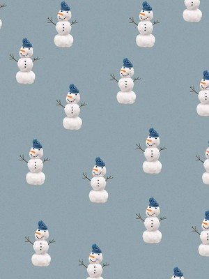 Mr. Snowman T-shirt lange mouwen Kinderen from SNURK