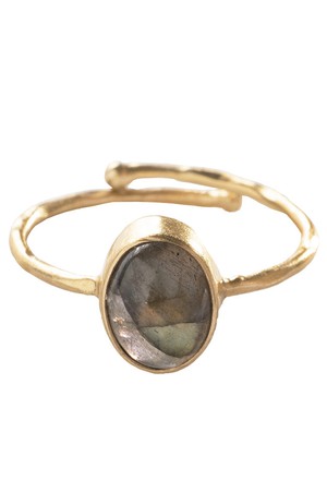 Visionary ring diverse stenen from Sophie Stone