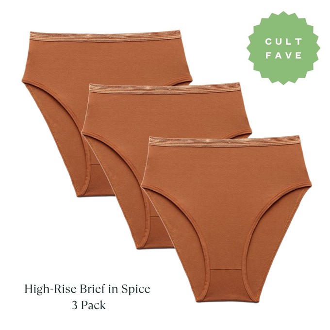 Organic Cotton High-Rise Brief in Spice 3-Pack from Subset